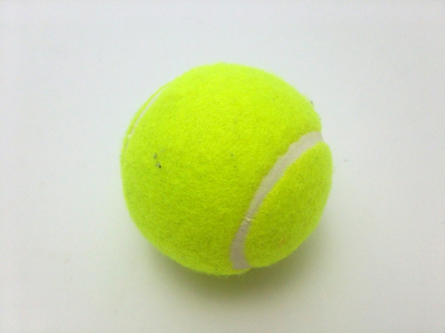 テニスの魅力 まずは観戦 そして実際にもやってみよう Rainbow Turtle Of Happiness